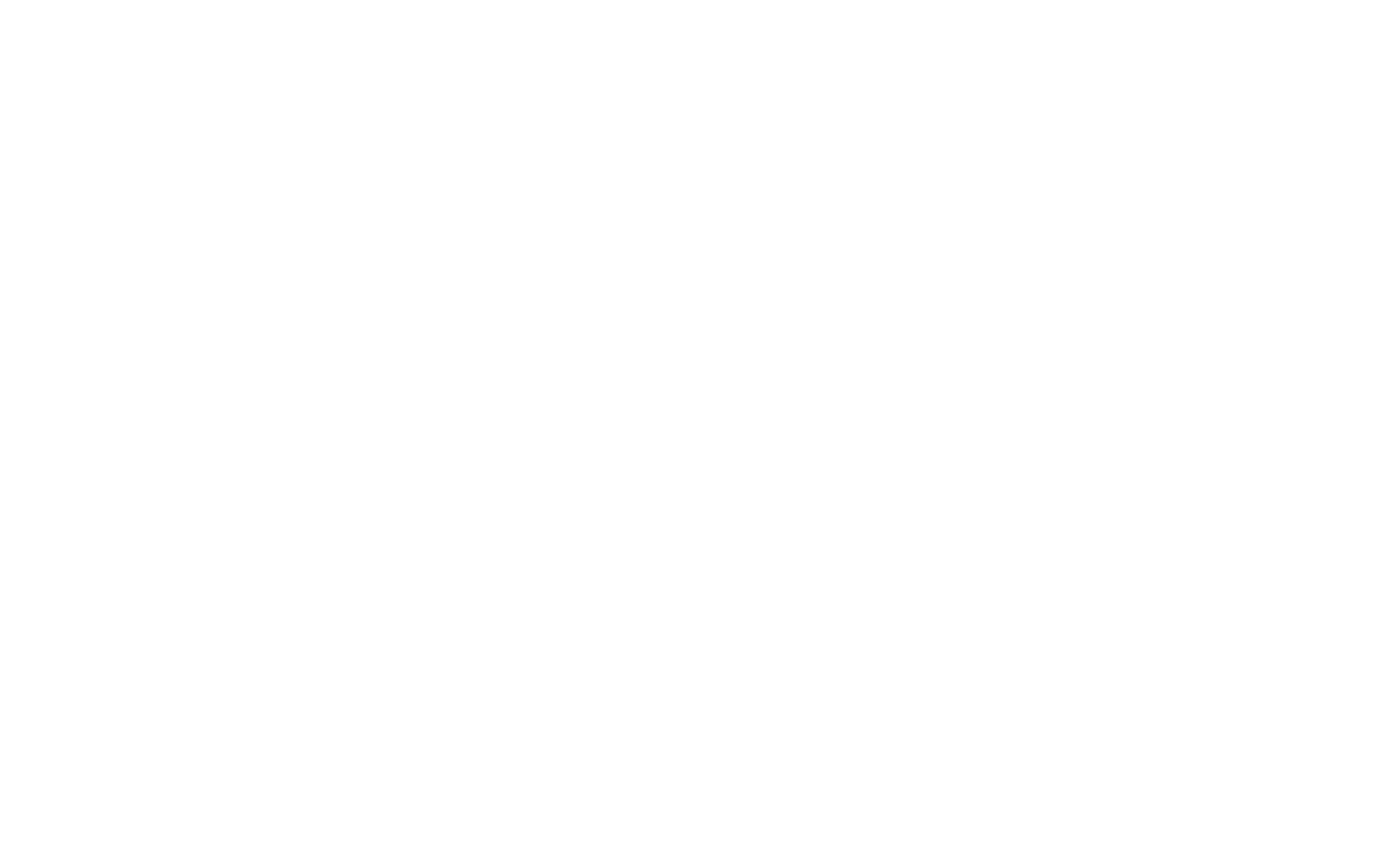 Dallas International Film Festival